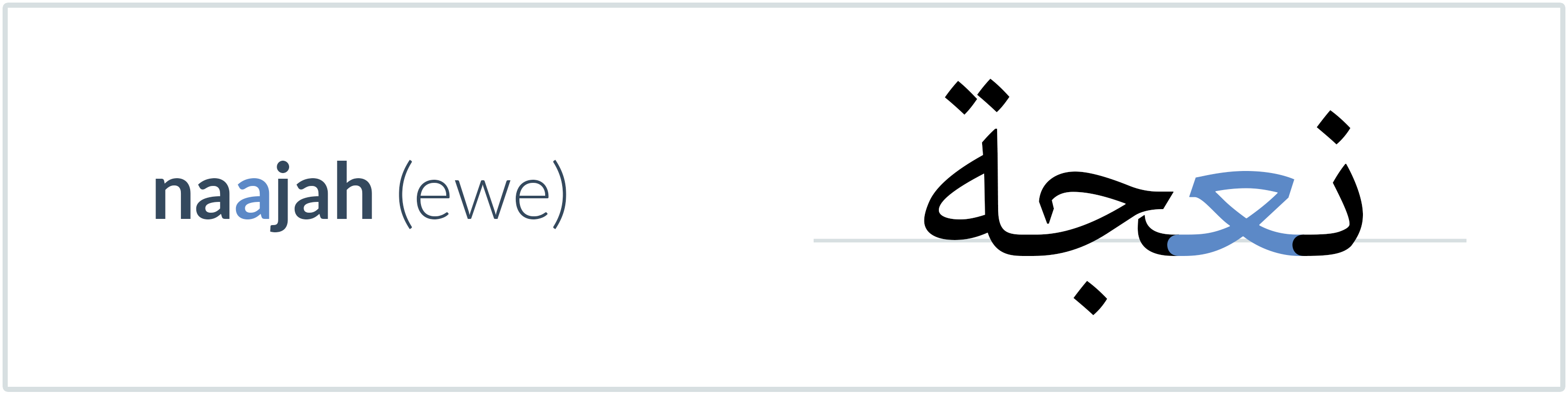 ewe in Arabic — نعجة