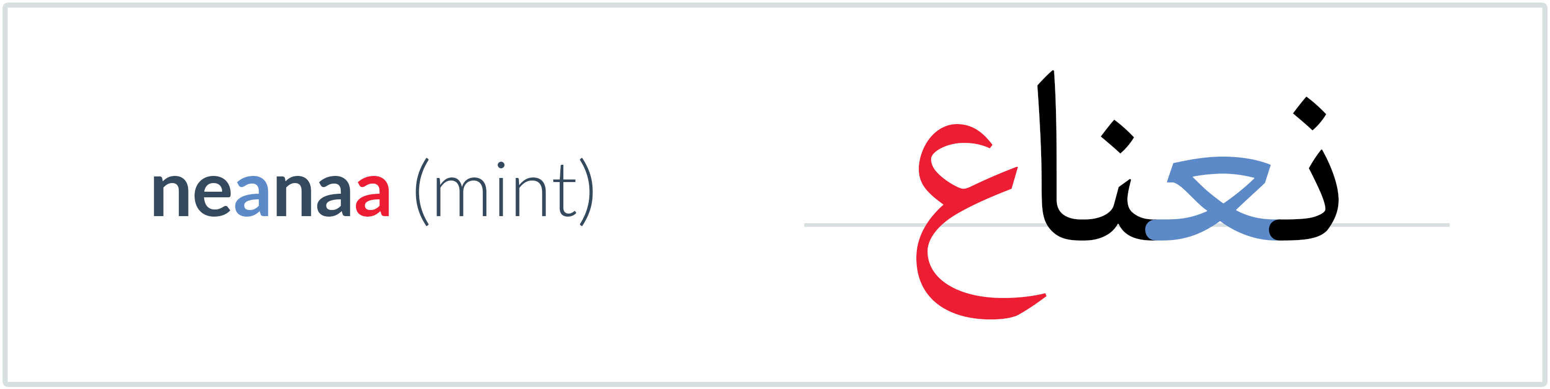 mint in Arabic — نعناع