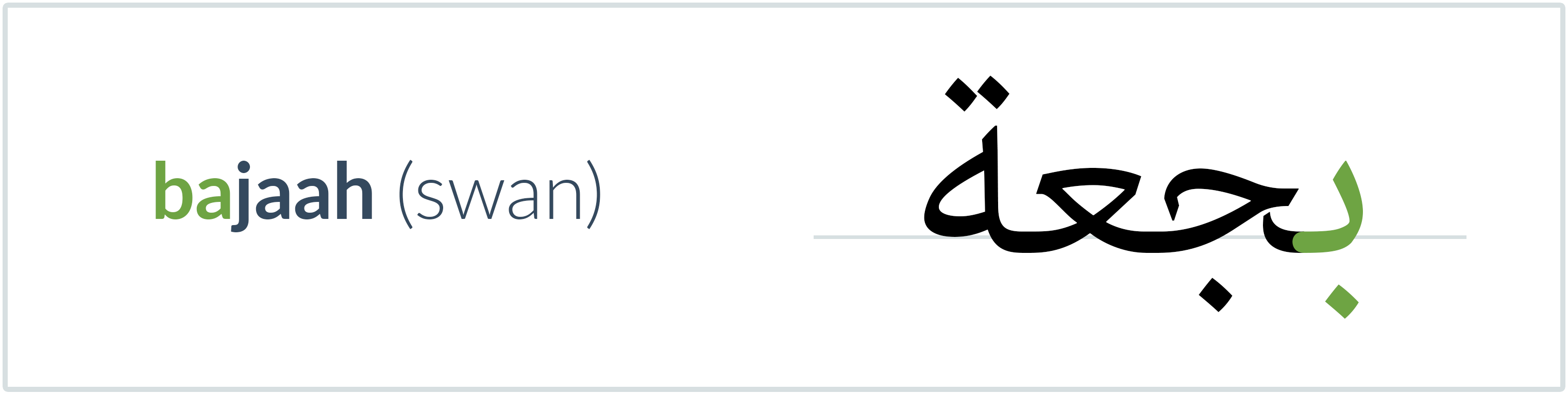 swan in Arabic — بجعة