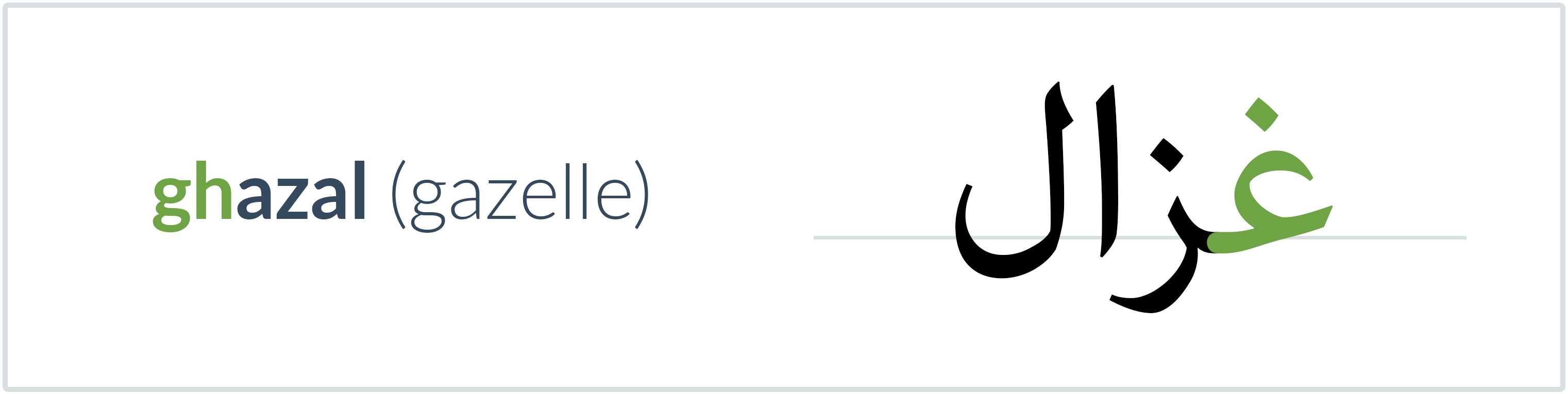 gazelle in Arabic — غزال