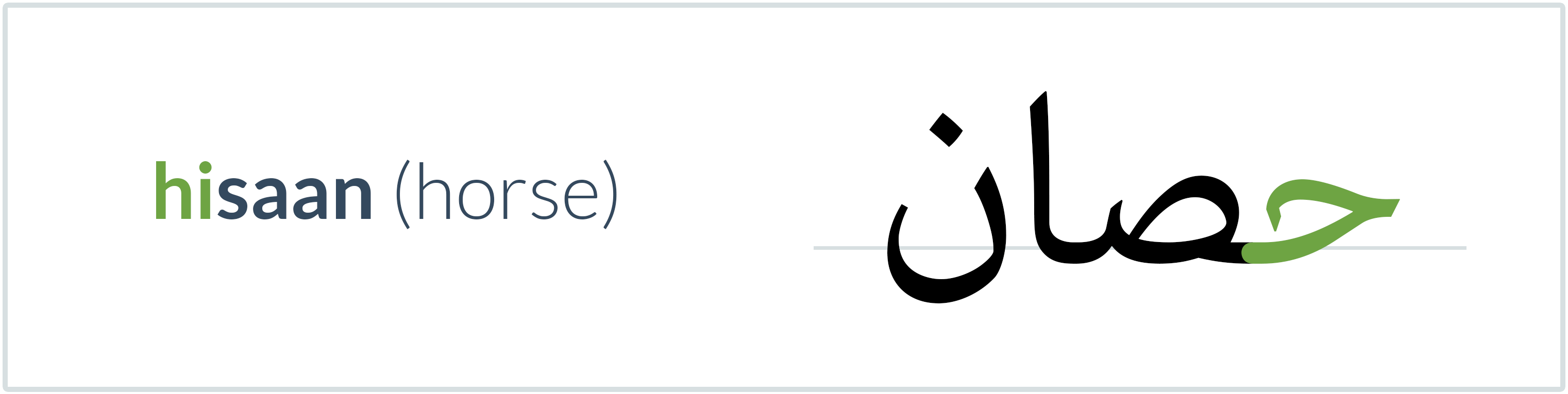 horse in Arabic — حصان
