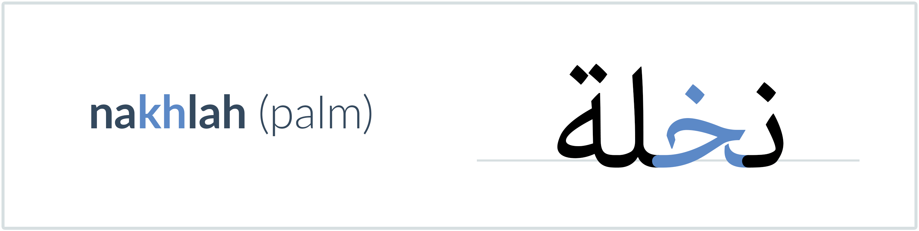 palm in Arabic — نخلة