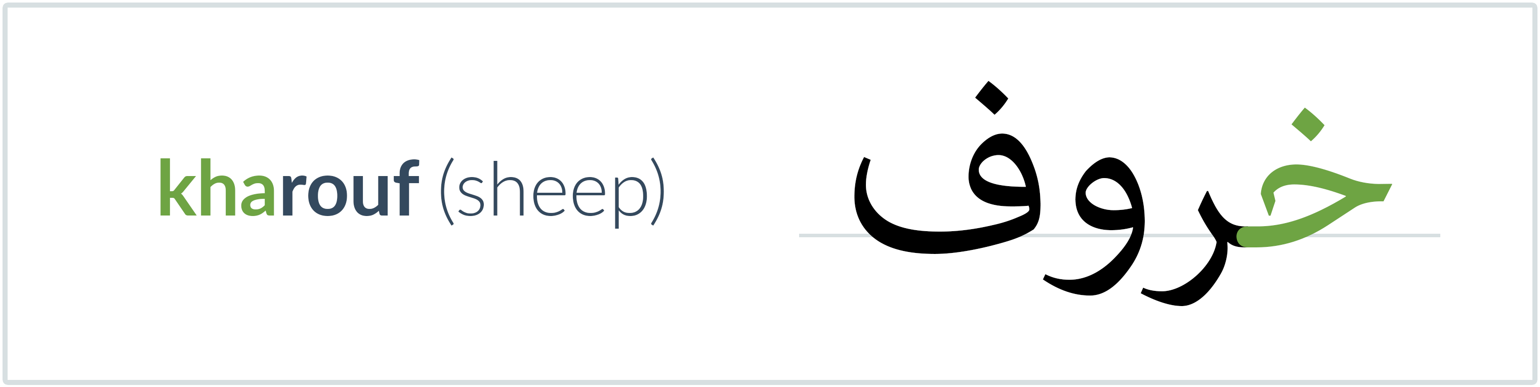 sheep in Arabic — خروف