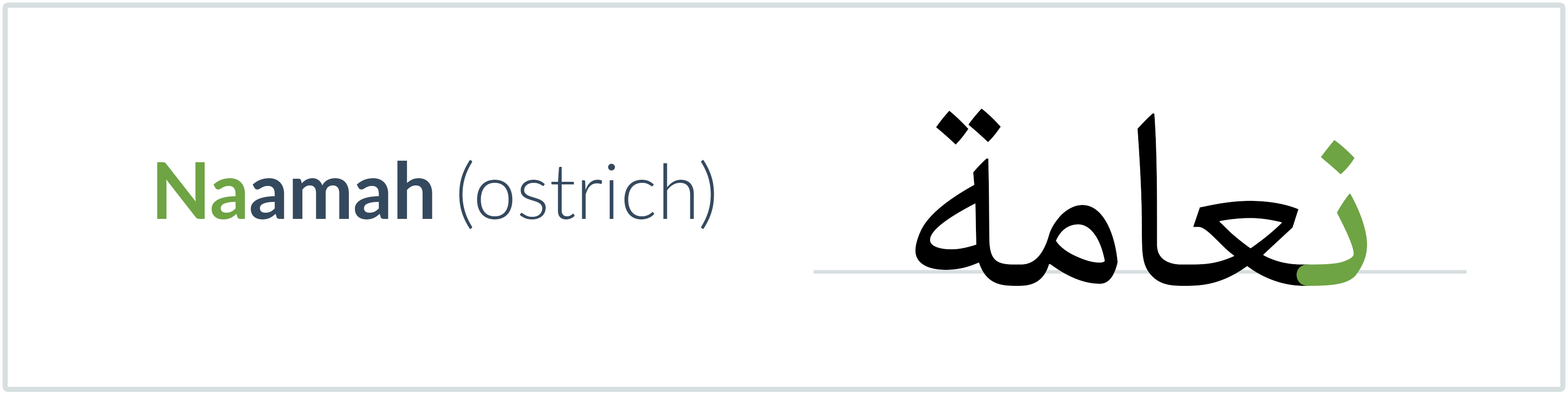 ostrich in Arabic — نعامة