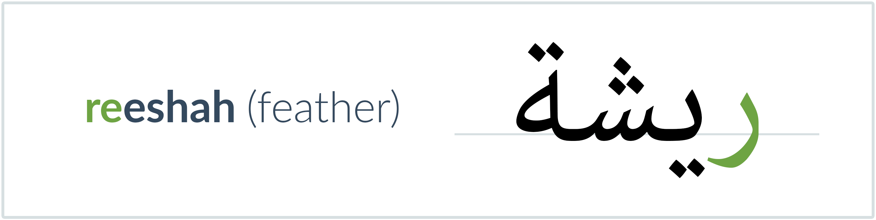 feather in Arabic — ريشة