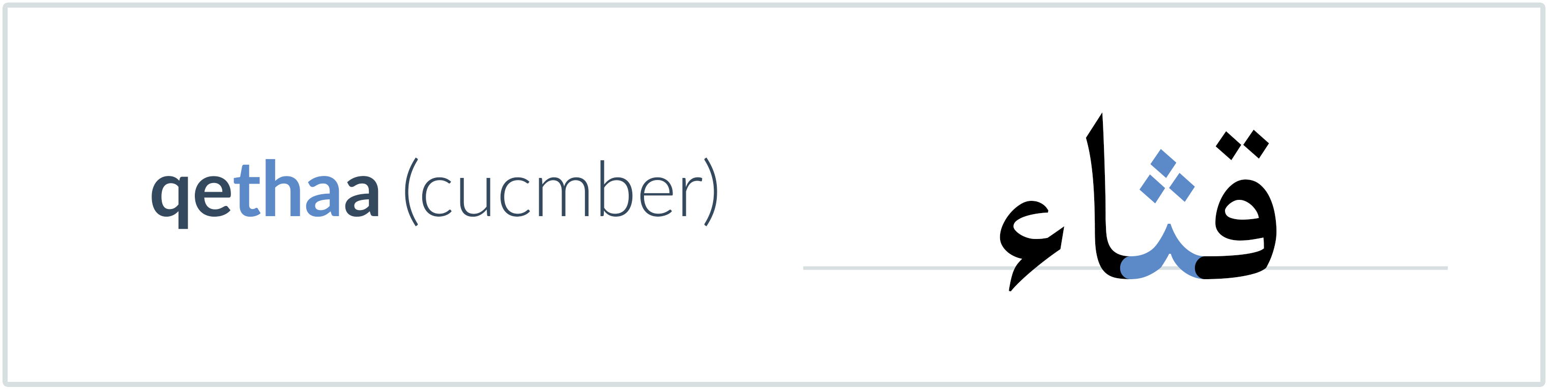 cucmber in Arabic — قثاء