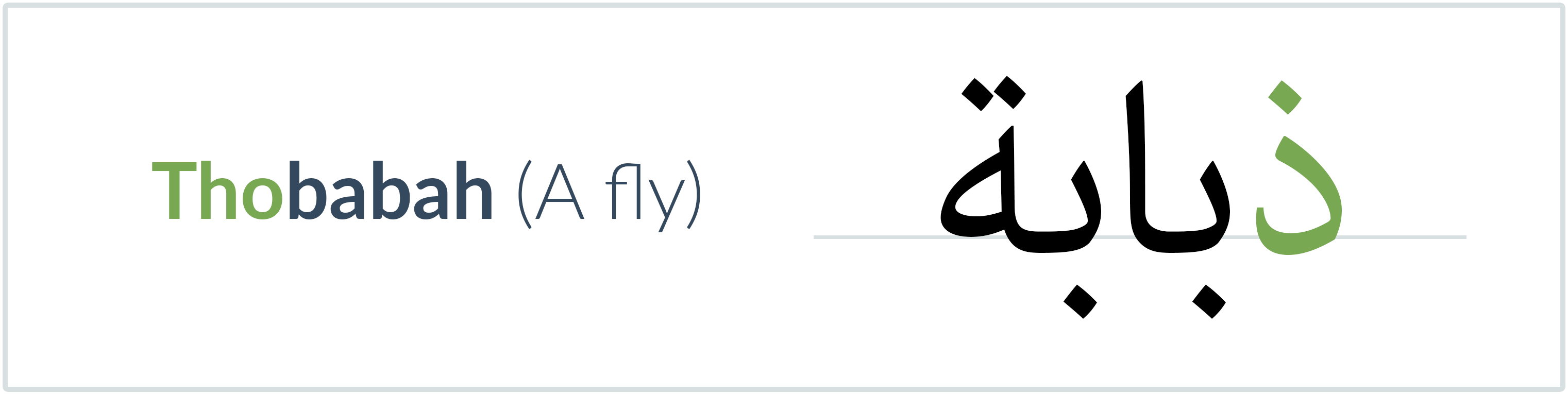 A fly in Arabic — ذبابة