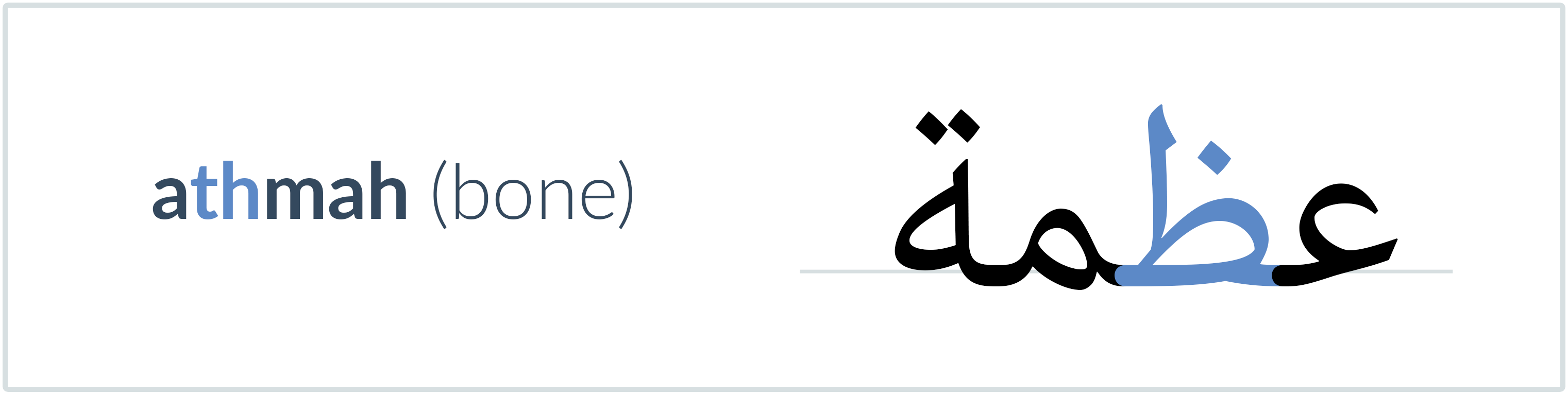bone in Arabic — عظمة
