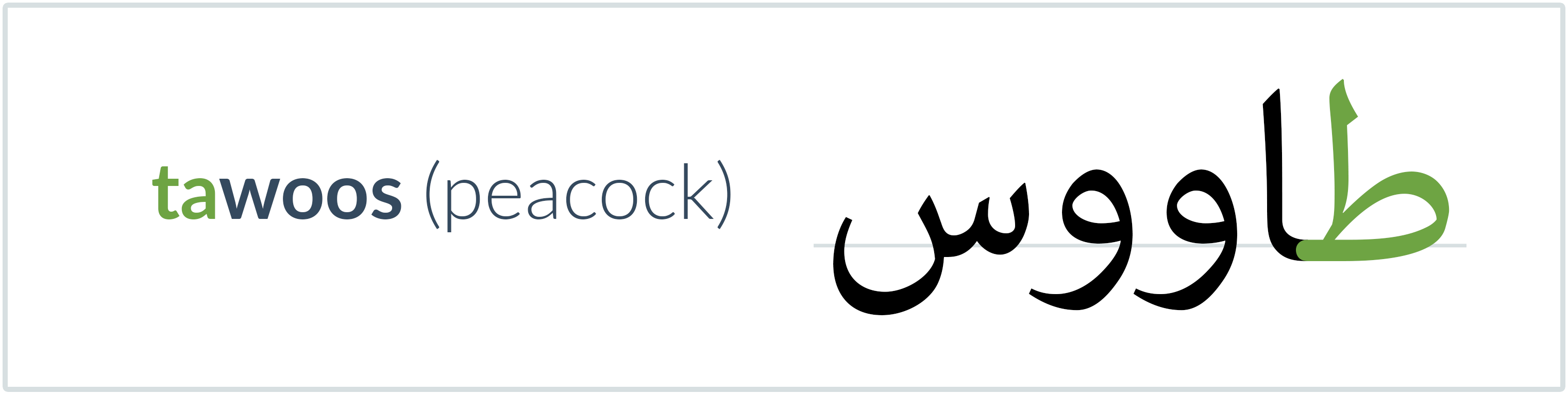 peacock in Arabic — طاووس