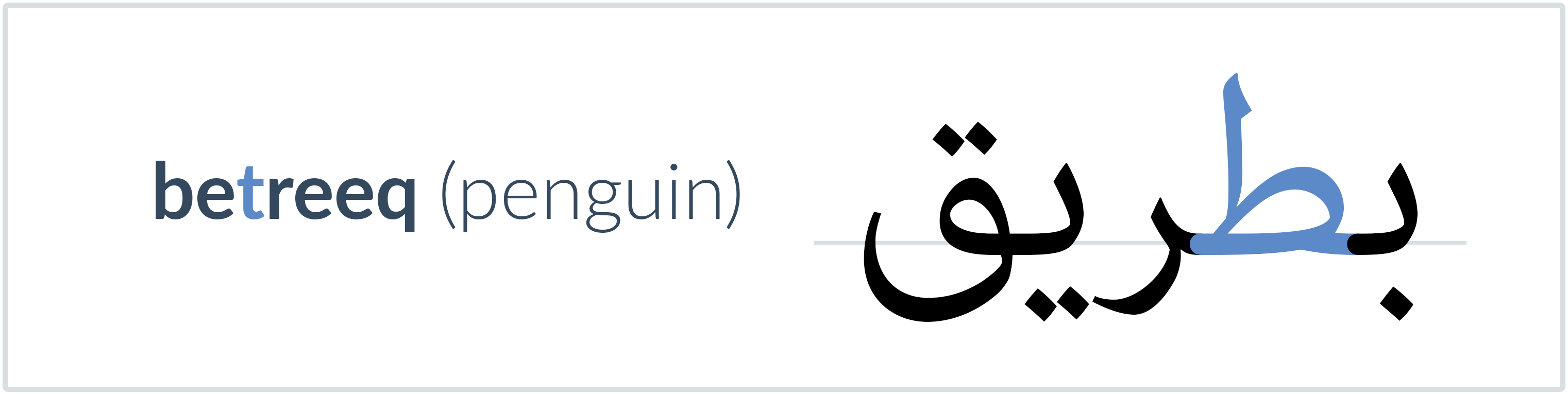 penguin in Arabic — بطريق