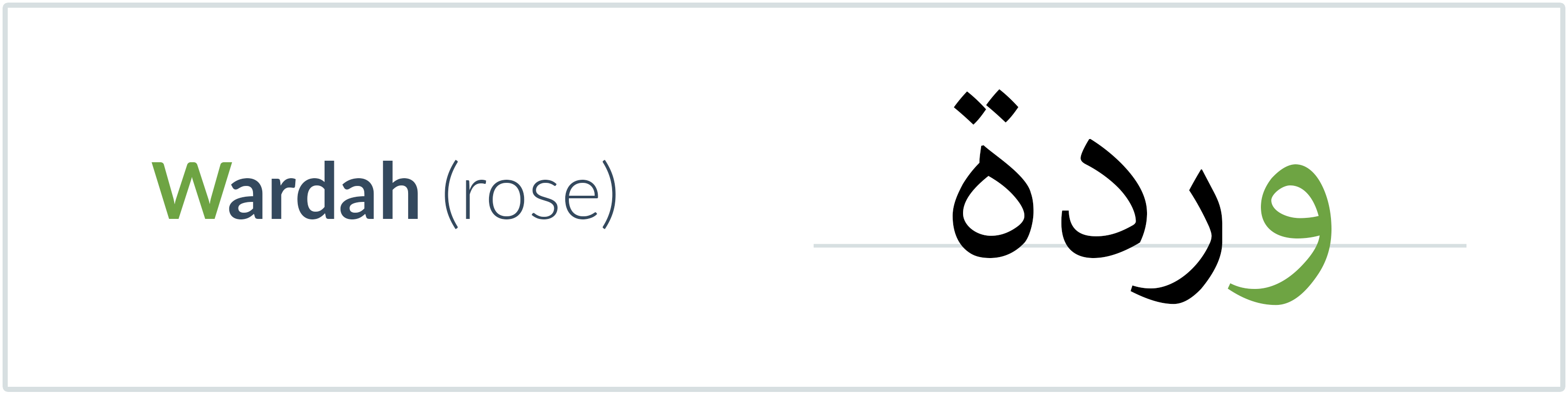 rose in Arabic — وردة
